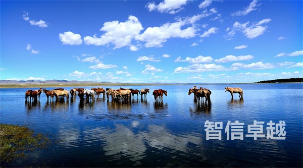 青海馬來西亞語翻譯公司（專業(yè)馬來西亞語翻譯）。今天為大家?guī)硪黄P(guān)于馬來西亞語翻譯介紹文章，馬來語介紹：  馬來語是屬于南島語系的馬來語-波利尼西亞語系，主要用于馬來西亞及其鄰國，如新加坡、泰國、文萊、菲律賓和印度尼西亞蘇門答臘部分地區(qū)。