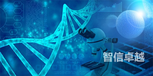 學(xué)術(shù)論文英譯漢-學(xué)術(shù)論文漢譯英 學(xué)術(shù)論文英譯漢-學(xué)術(shù)論文漢譯英