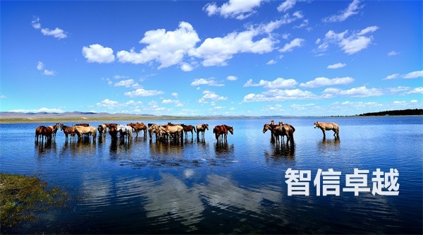 醫(yī)學(xué)翻譯公司-專業(yè)正規(guī)的荷蘭語醫(yī)學(xué)翻譯