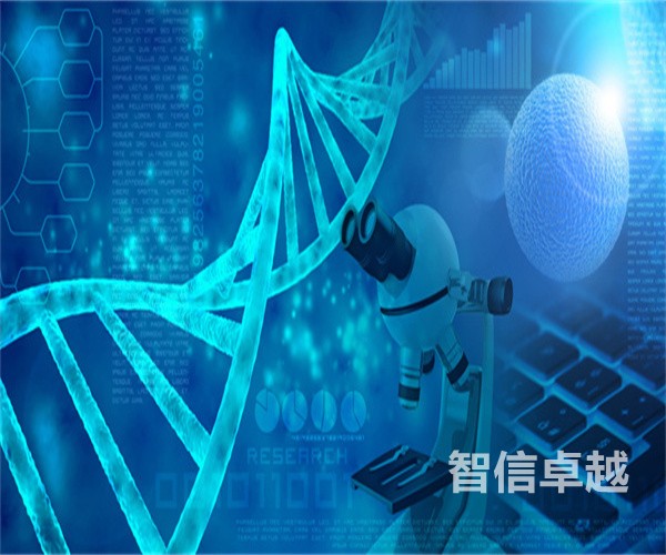 專業(yè)的寧波翻譯公司-專業(yè)的翻譯公司要具備哪些特點