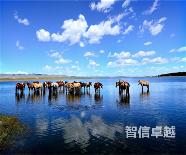 四川翻譯公司排名-商務(wù)英語翻譯排名靠前的公司 四川翻譯公司排名-商務(wù)英語翻譯排名靠前的公司