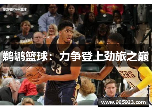 鹈鹕篮球：力争登上劲旅之巅